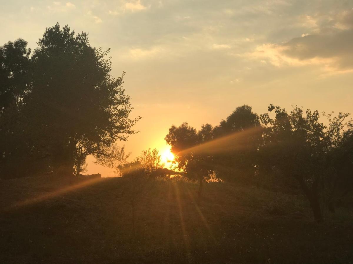 La Villetta Dei Sogni Nel Parco Rome Luaran gambar